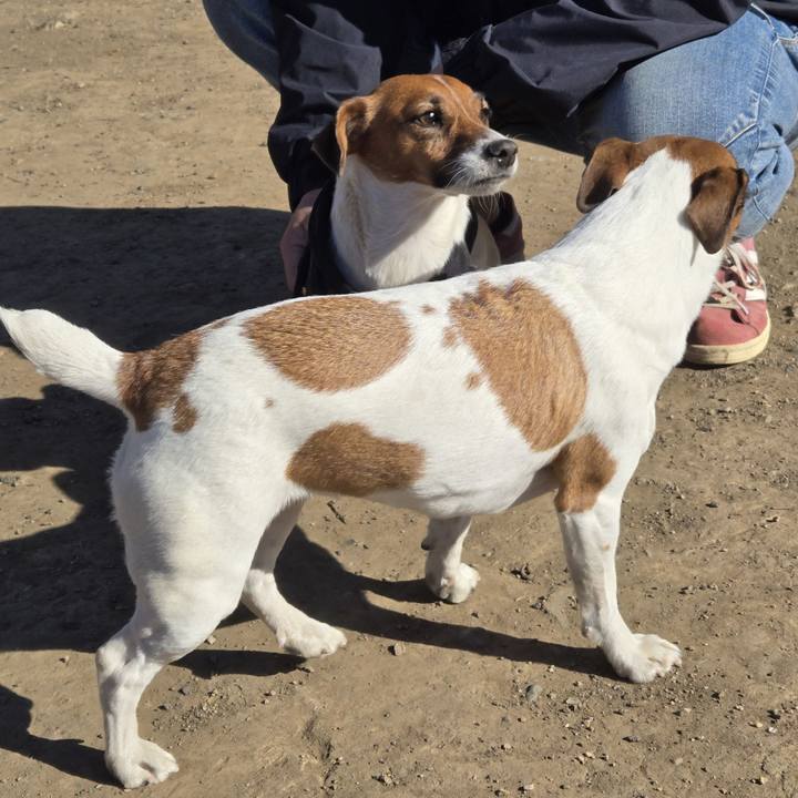 3f550ab2 ae51 4e50 9e50 5f27096d88e2 1768196982683