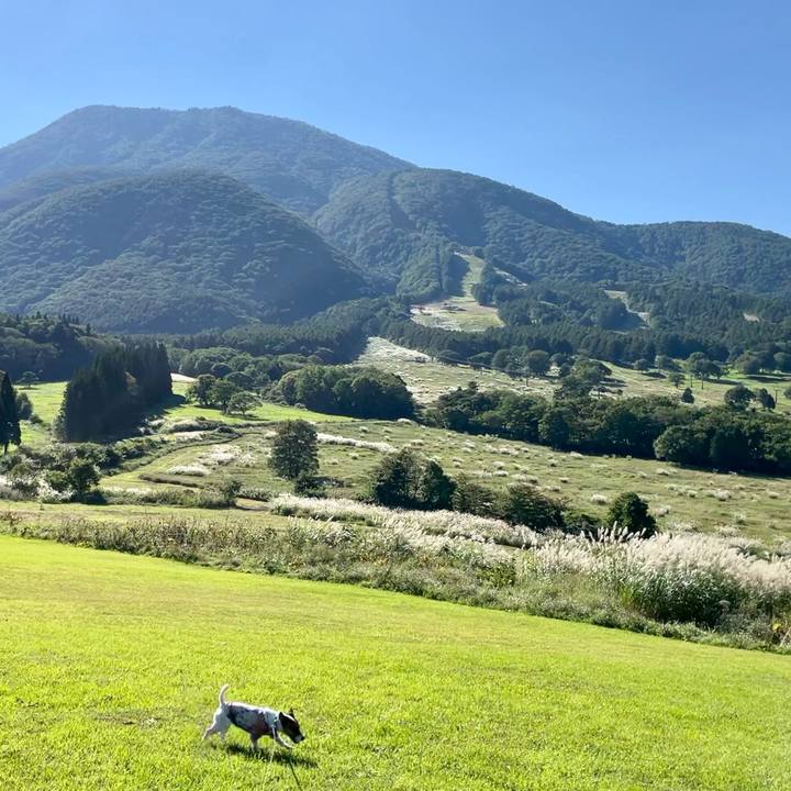 3f552ae4 8e06 43e0 a1bc 37f8a18dbf6b 1632220436485