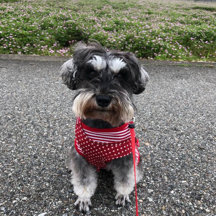 3f55a710 704f 46ff 843a 19c02a37e6af 1556666761174