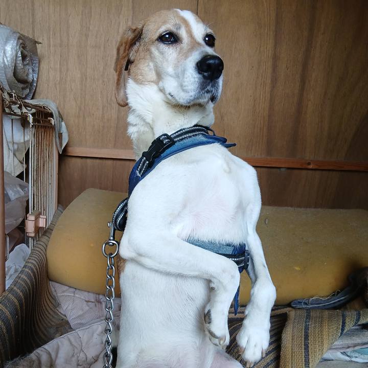 3f5617ad 3dce 47ae b7ad 05d8c4db1fd8 1749974828006