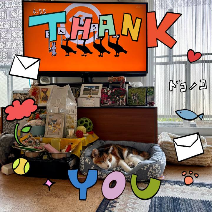 3f56253e e91f 499e 84ba e8db9b28e84f 1715292161732