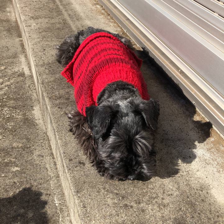 3f56854e 7b09 41c9 8d8a 4666f888b53c 1547430941265