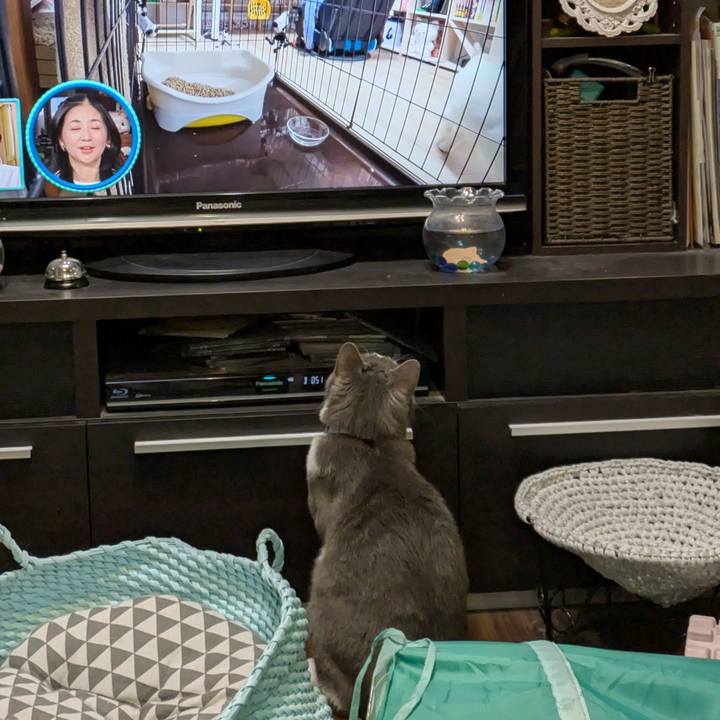 3f569686 6908 4799 bda9 38b97933c4c2 1732359381282