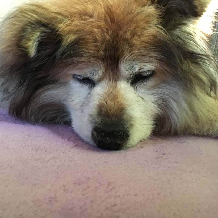 3f574d10 f928 4697 9308 a681726da1b2 1553642121947