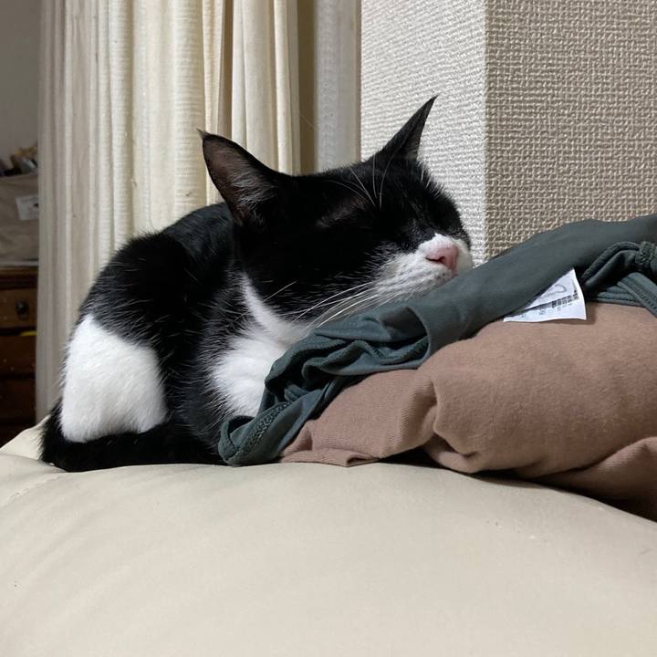 3f577ade 490d 4bb6 9390 e00c60fd847b 1687415020499