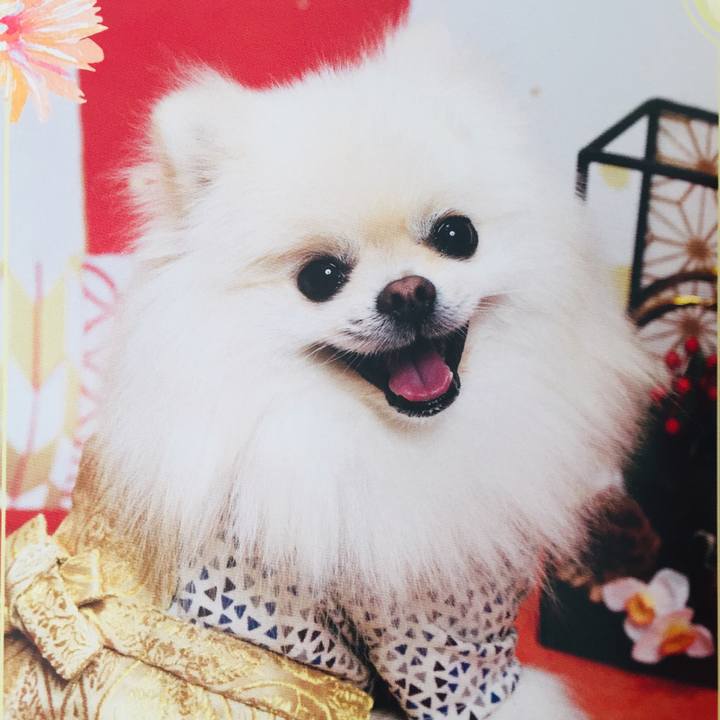 3f57b5e9 18b1 44c8 b8e9 0e3093932d2c 1546268641424