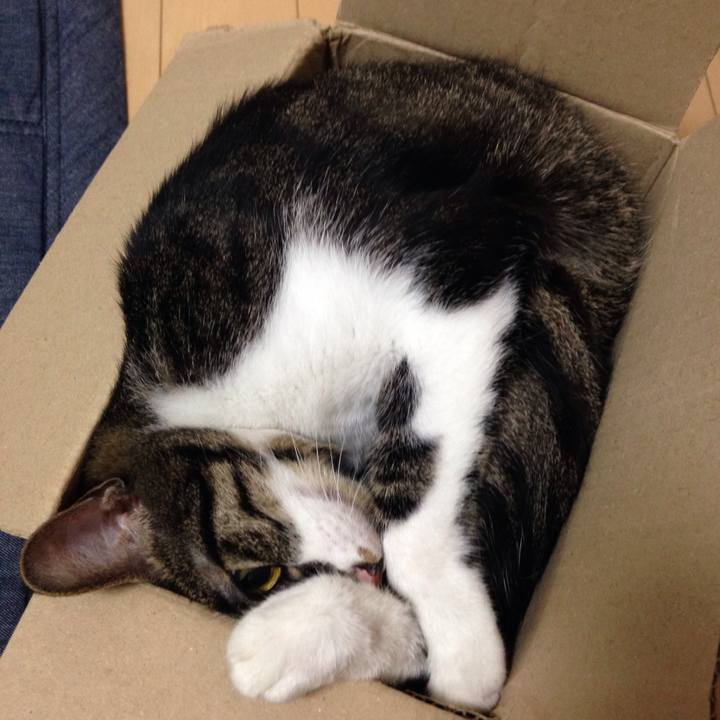 3f57d0ab 7523 4644 8eea 8786be25997a 1513222335453