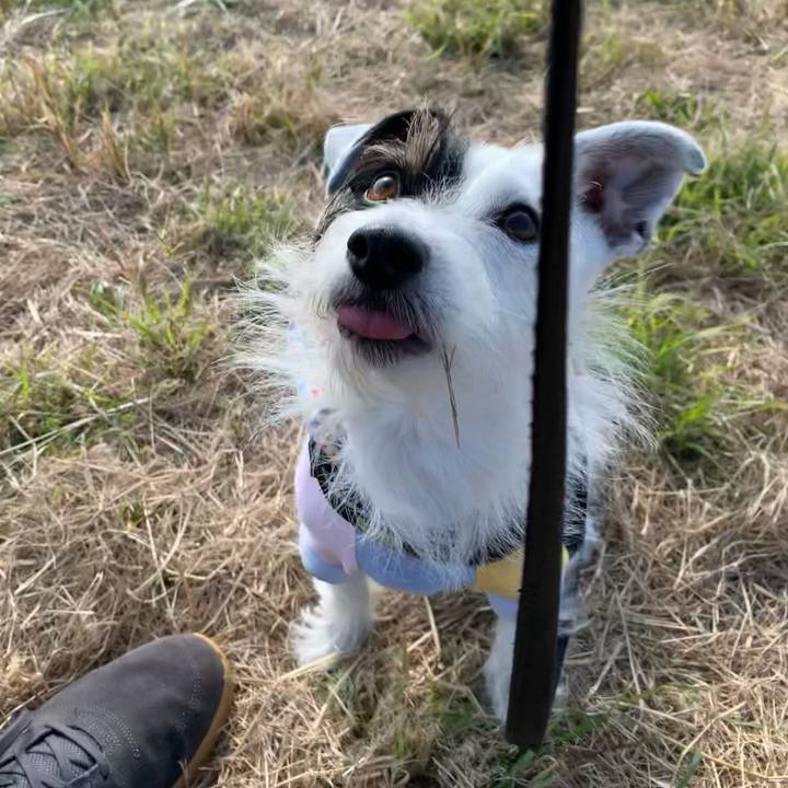 3f57d0d0 fcbd 42ef ac8f f48839e4f8ab 1637113083200