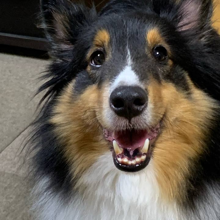 3f57e073 f81e 4110 a30a 8fb25ccace1d 1597787050962