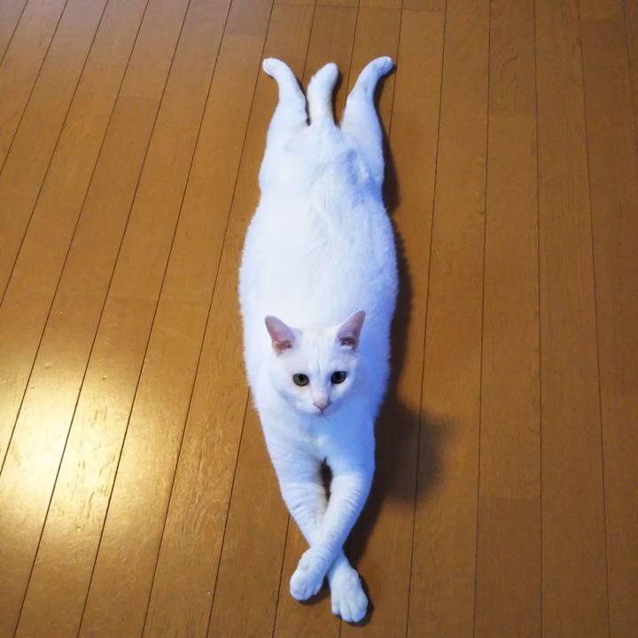 3f58022a 73cb 4ba8 ba71 a2df2365f119 1561713748125