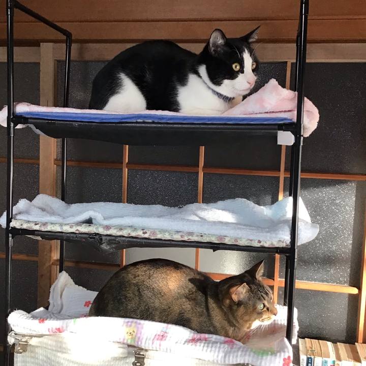 3f5814c2 3b18 414d b848 b4c85205a96c 1642720654637