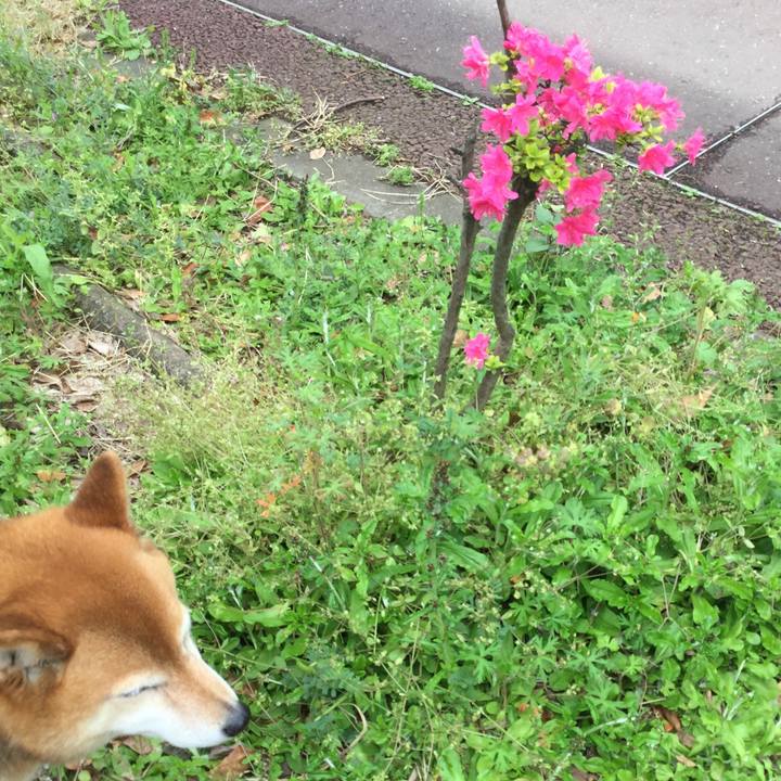 3f582850 a631 40bf 9380 46621cf958dc 1587436261927