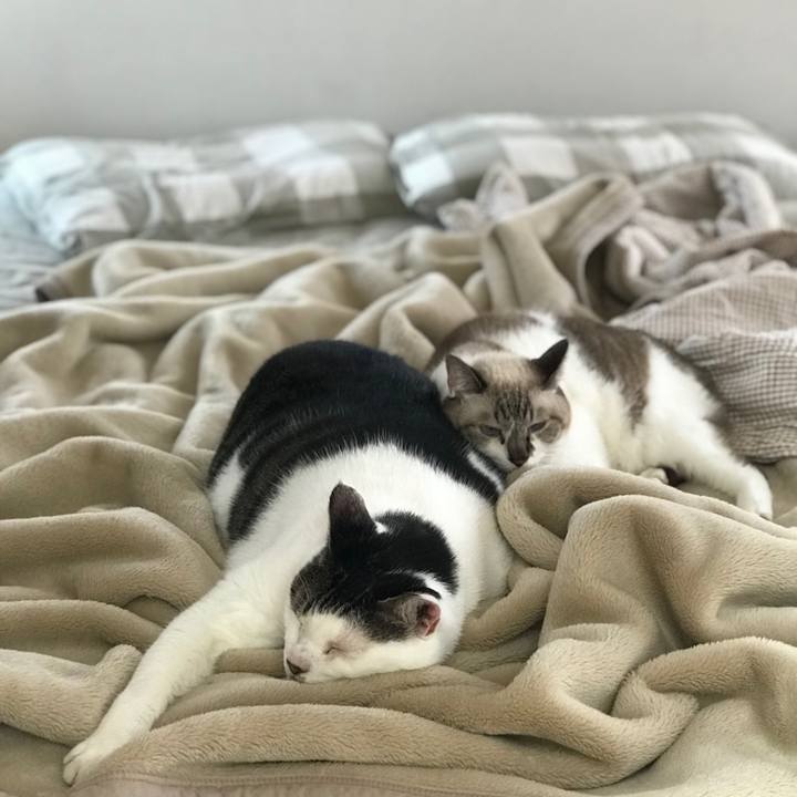 3f583bba 2fc8 4d83 ab80 665160fbbf39 1538274590315