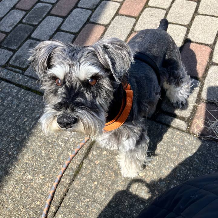 3f584dc0 c167 4752 98f3 0b25f7cf5a36 1773985567515