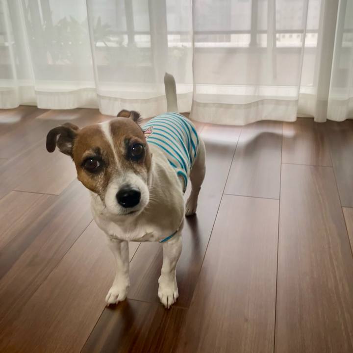 3f585bad b621 463b b4cc 0ee928171151 1747438687401