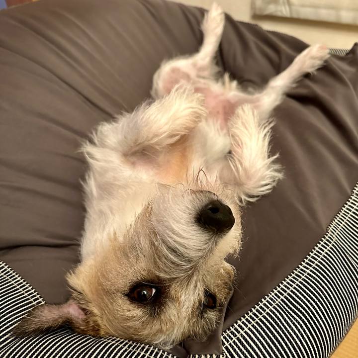 3f5919ff 560f 4a59 af2a 7a5aa5d47498 1726931966558