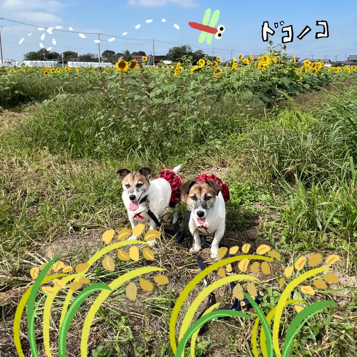 3f591ed5 ccbf 4b42 8b72 bcc9a2a309ae 1761117463474