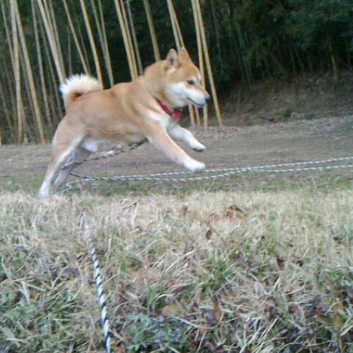 3f593273 ffcf 4725 9f02 1bab59f50466 1520645062662