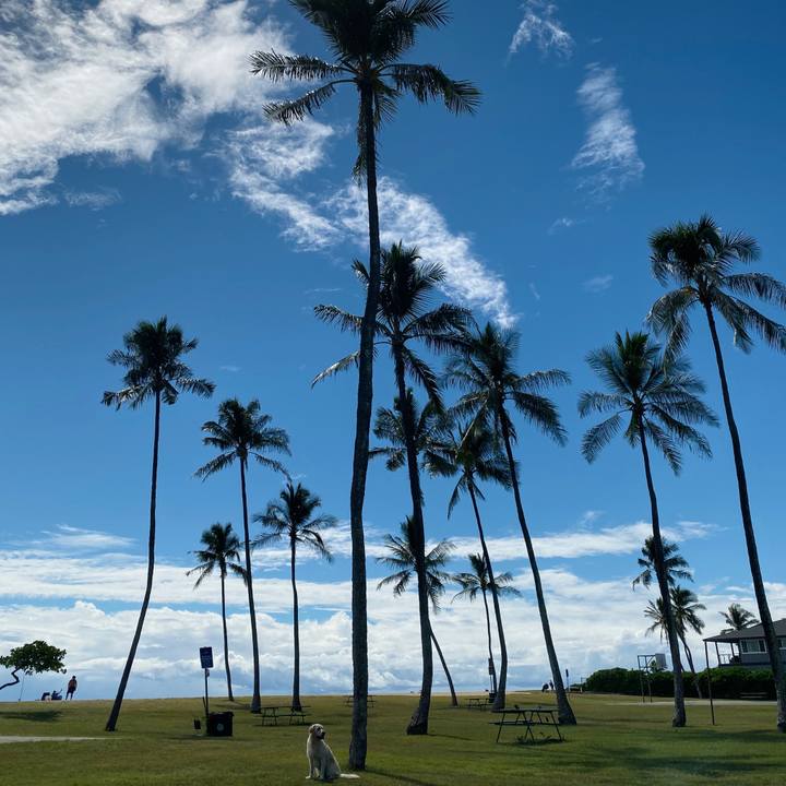 3f59327c 835b 45df b7d5 7a044f4e6e9d 1572920038066