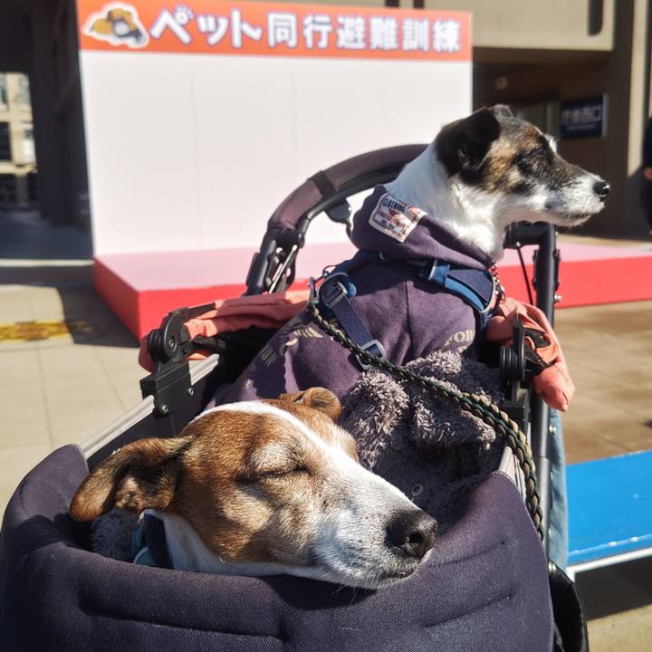 3f5944cb a3d7 4974 a176 9b1249890dbd 1772851142748