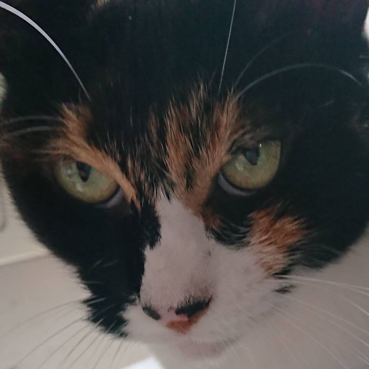 3f597cdb 90bf 43db 8bf8 4ff039241a16 1533527175337