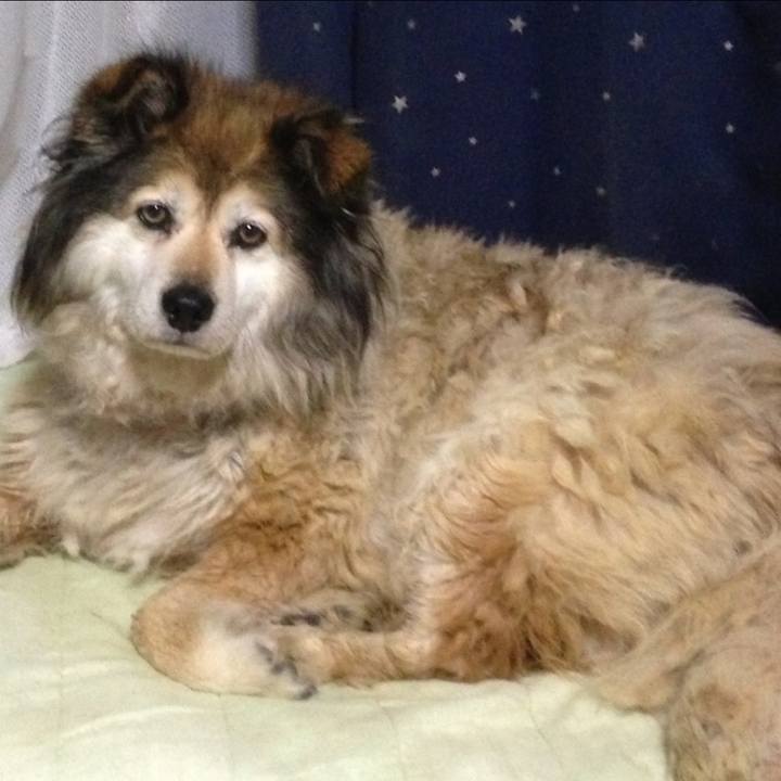 3f599f0e 0deb 4922 8913 02df9d93cbe5 1562927039709