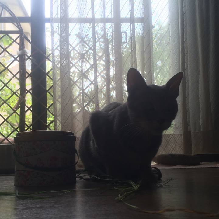 3f59aa06 c377 454a 9e06 1a681ad7a19f 1535019078590