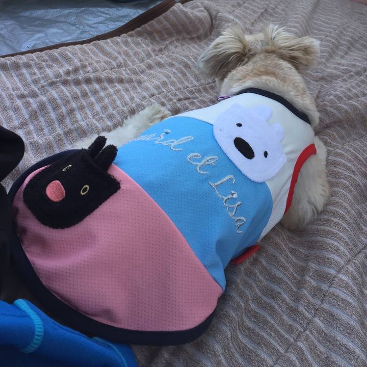 3f59eb33 1481 45f1 84a9 63c70d78f74d 1527159022094