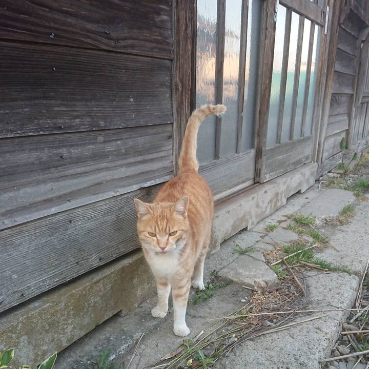 3f59f982 c751 4873 a89e e59e134eb5c5 1587977661509