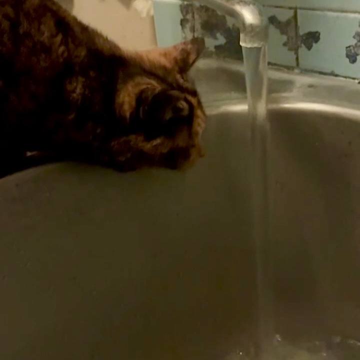 3f5a02b7 4636 4115 8633 10a9b084f27b 1764274150682