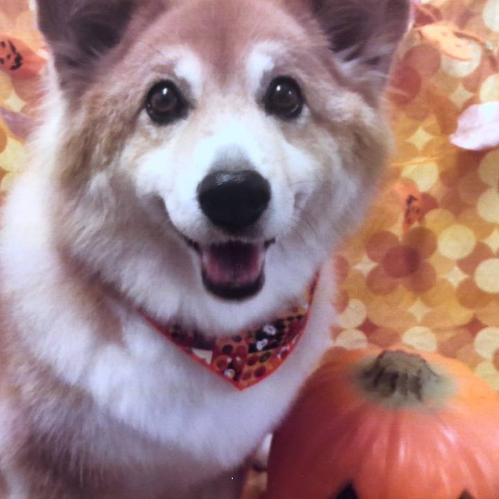 3f5a0401 6d6f 423c a14b ecced5d9c8e7 1635669323937