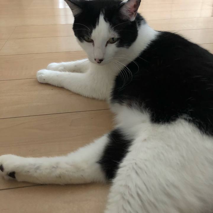 3f5a3b89 38c9 4ba5 ae5b 2329e6a94606 1560824504673