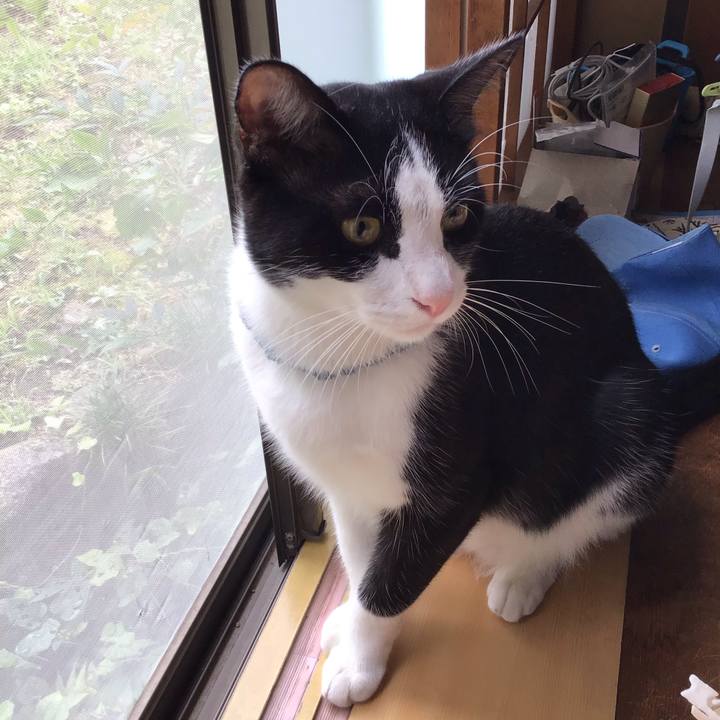 3f5a6743 5471 4381 a35c 6e7fcff72cfc 1662630171757