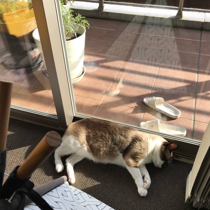 3f5a7983 3e7a 441d 8a76 445e916e55f9 1566085778697