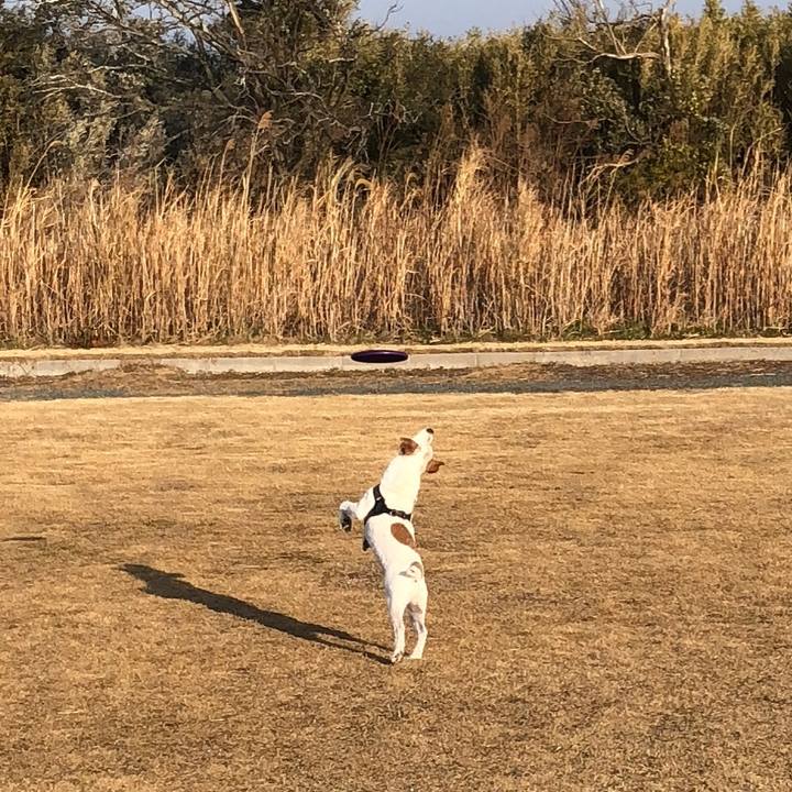 3f5a9aa1 b462 40f9 a59d 9b48a8a331cb 1516524920427