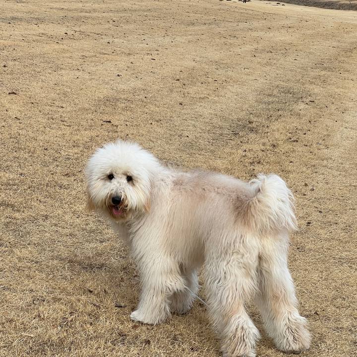 3f5abd80 aed5 4dab 9eb8 1f902954d6ce 1737533495070