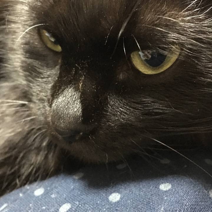 3f5ac31c 7f9f 4370 86d8 e277a11c1d7b 1542278925452