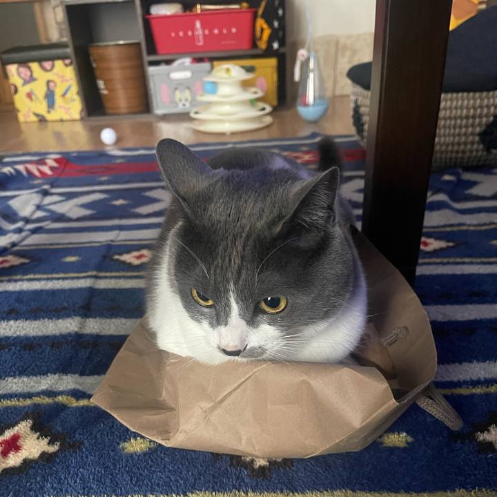 3f5ae233 e47d 46dc b2ab dd40a0c489f8 1684038320147