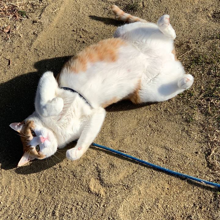 3f5b0910 f554 422c 8aa2 b39a8af0ad9b 1583051365491