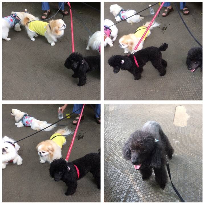 3f5b0a33 8d5a 4cce 8738 03a30d684eff 1530181975151