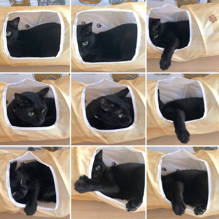 3f5b0ccc b7c0 4857 93a7 9721713d12e1 1572493644973