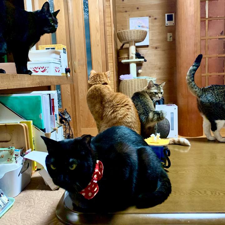 3f5b334b 3974 4097 86fc e2f052a5f288 1578055940432