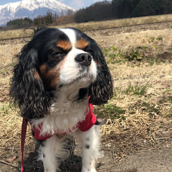 3f5b5551 44f7 4435 a248 807ee52e914d 1555216577977