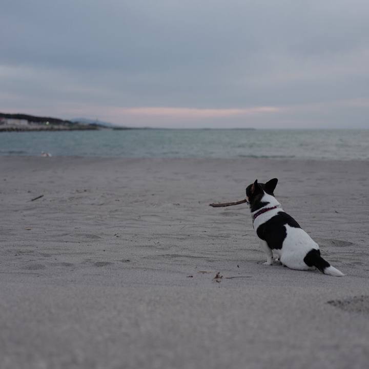 3f5b7b66 c6a3 40f8 9ccc 3ed0050f6425 1524889825999