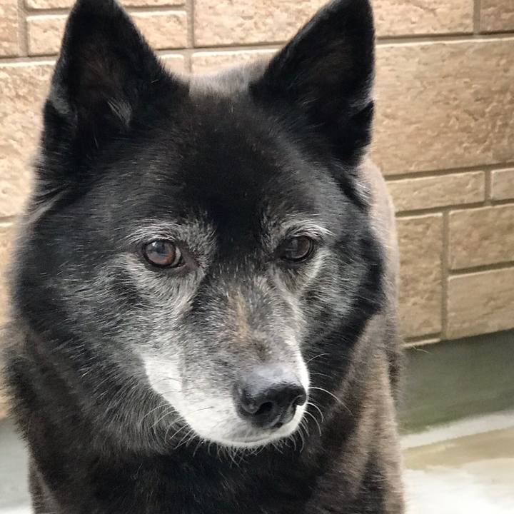 3f5bbc1a 5a6b 4334 822f 1cbcf2012903 1557238183612