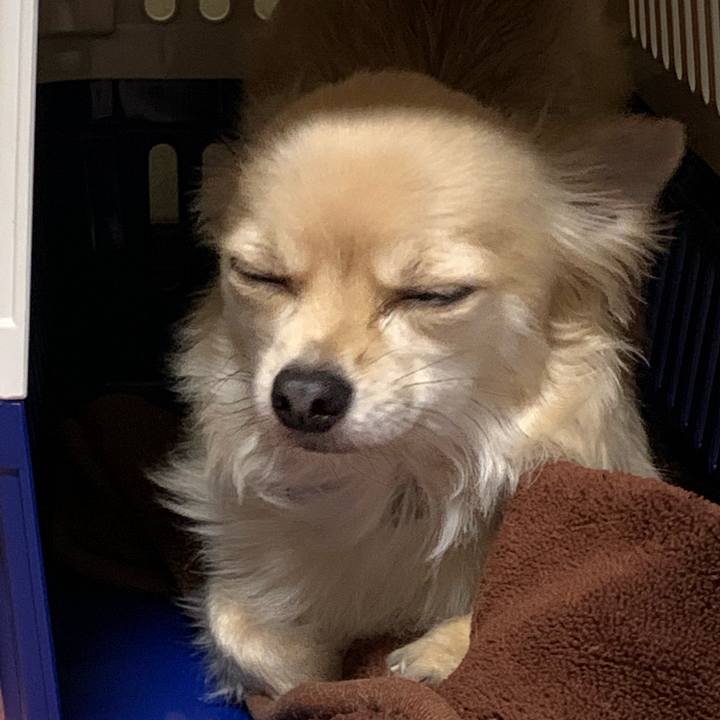 3f5bc315 68e8 4019 91f5 d4730ccaef47 1574200941362