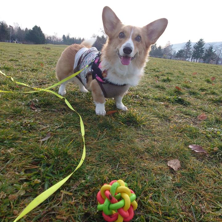 3f5bec17 6922 464d 9a6b d1c2d1680f47 1763956976838