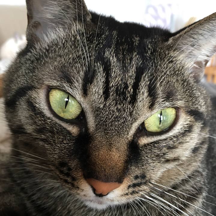 3f5bf92f c485 41d8 91e5 4f47dabc01a3 1543898224136