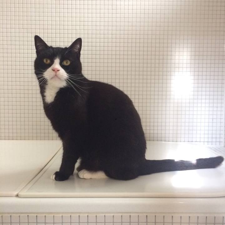 3f5c0d15 cc17 42ed a588 60f88e12b72c 1554766486805