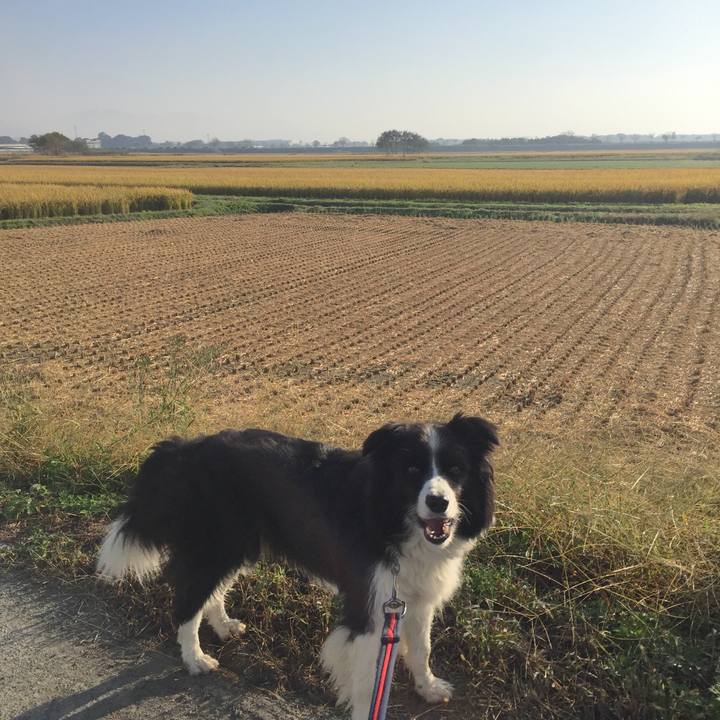 3f5c1b22 2c5f 4566 b1e3 4484b1519728 1572392034957